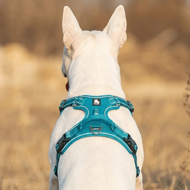 3M No-Pull Vest Harness
