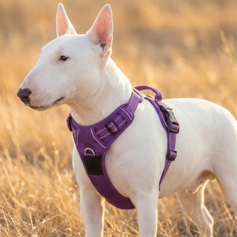 3M No-Pull Vest Harness