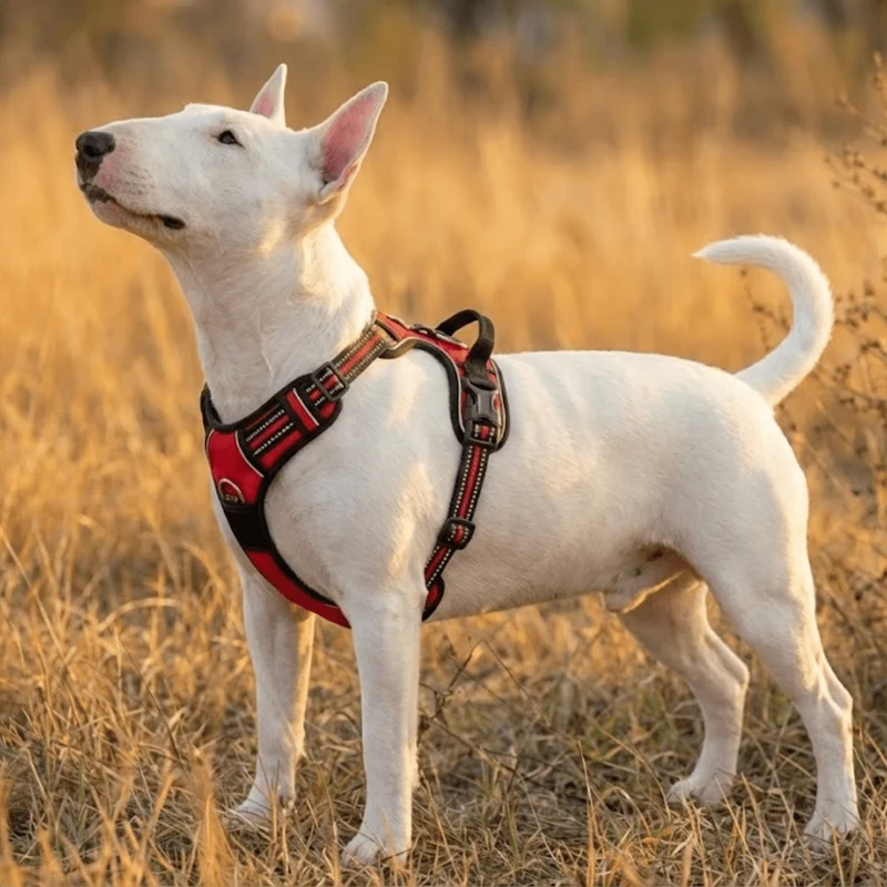 3M No-Pull Vest Harness