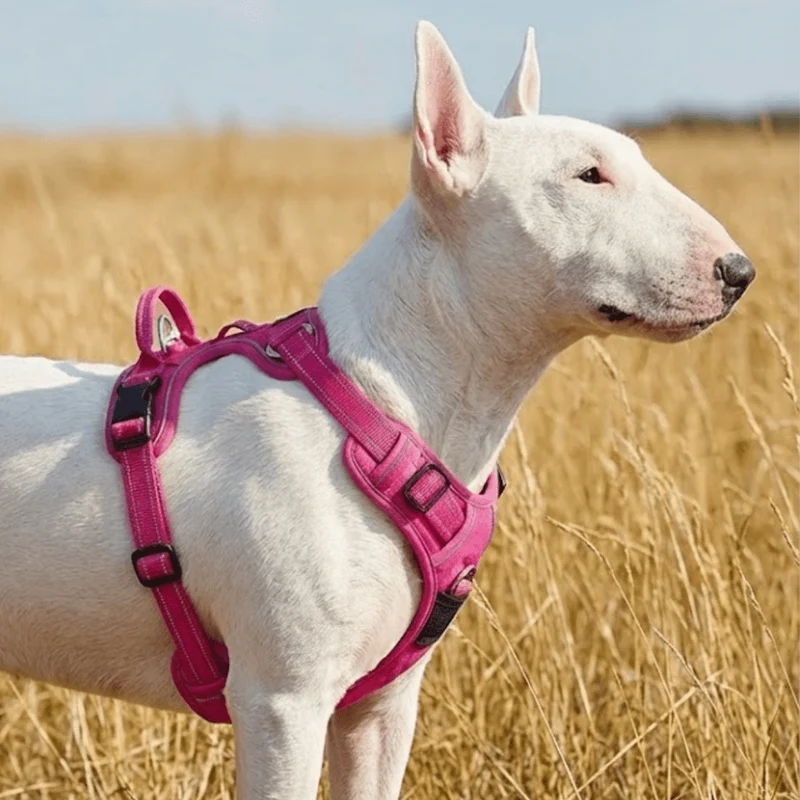 3M No-Pull Vest Harness