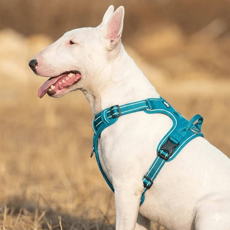 3M No-Pull Vest Harness