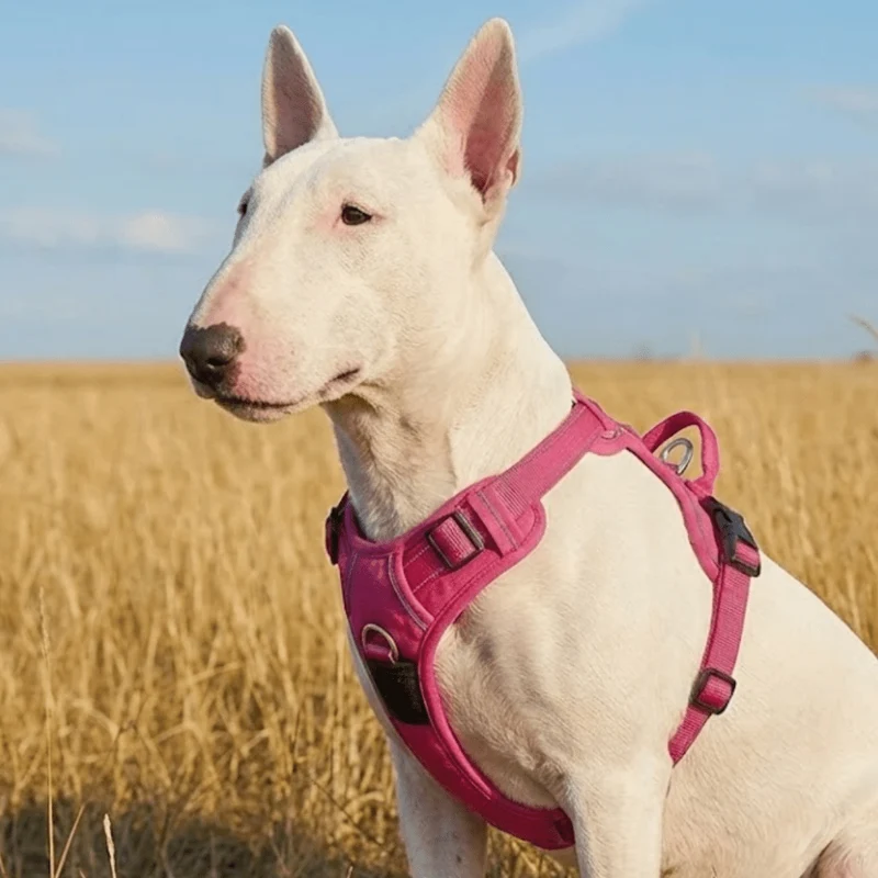 3M No-Pull Vest Harness