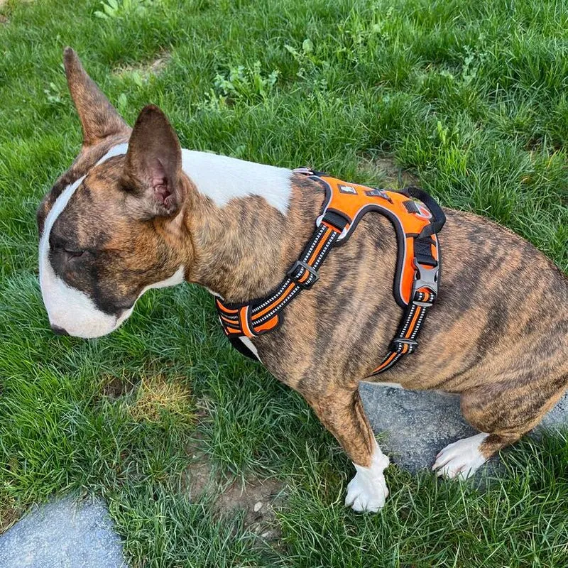 3M No-Pull Vest Harness