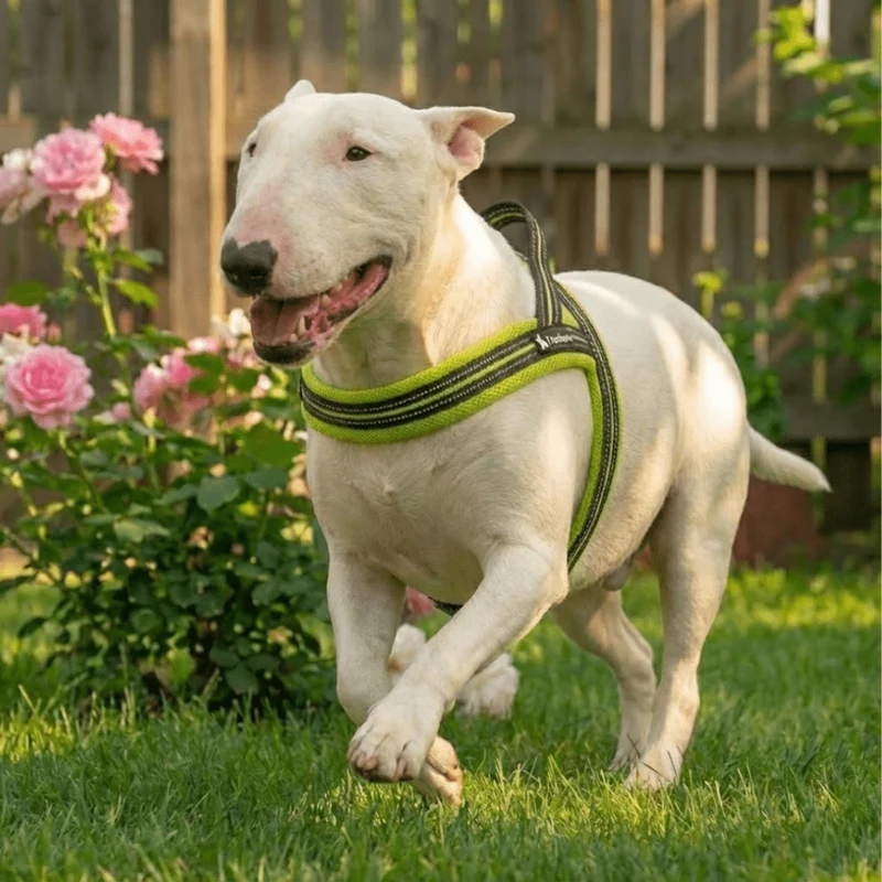3M Reflective Padded Harness