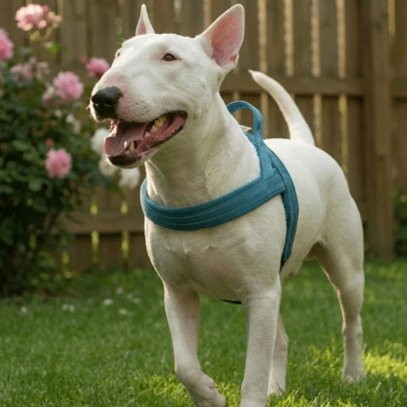 3M Reflective Padded Harness