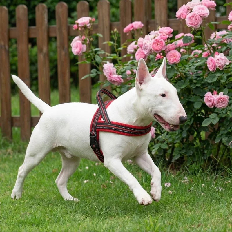3M Reflective Padded Harness