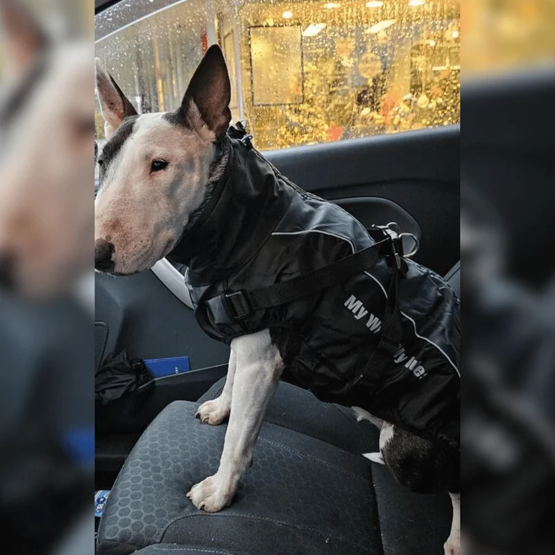 Warm Waterproof Winter Vest