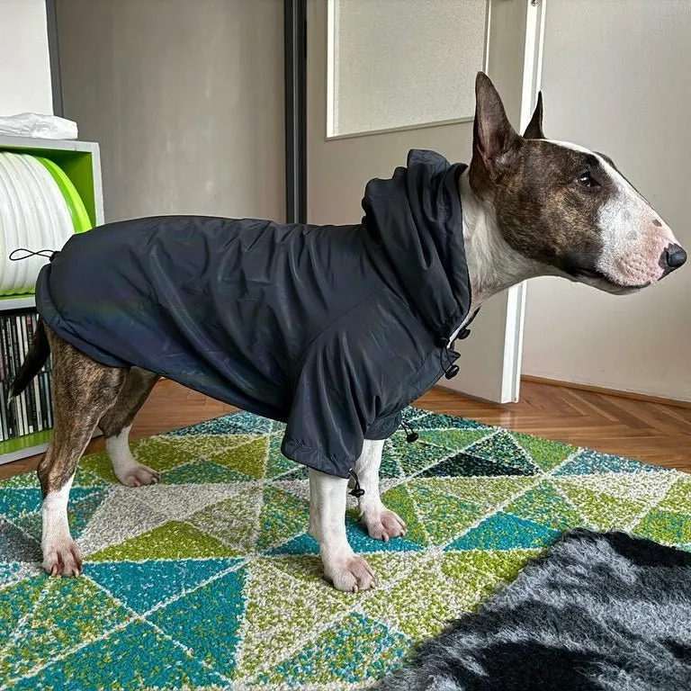 Reflective Dog Coat