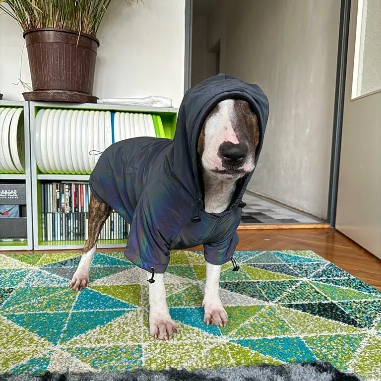Reflective Dog Coat