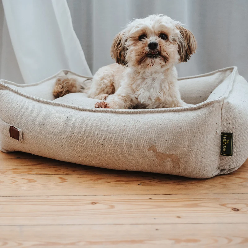 Recycling Hundesofa Belluno