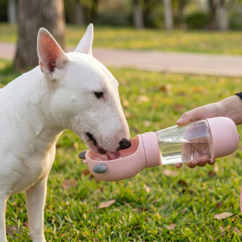 Water Bottle With Food Container