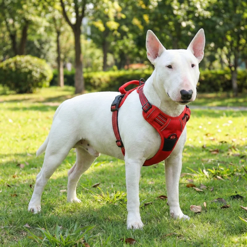 Reflective No-Pull Vest Dog Harness