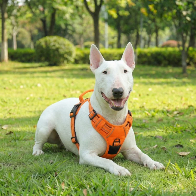 Reflective No-Pull Vest Dog Harness