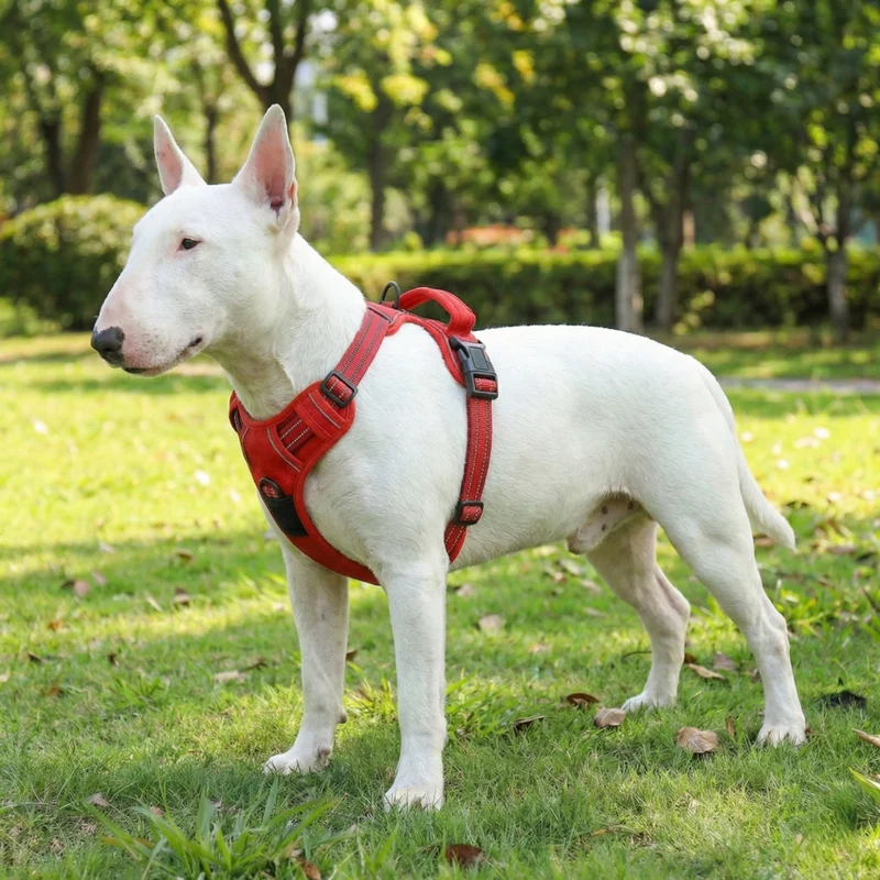 Reflective No-Pull Vest Dog Harness