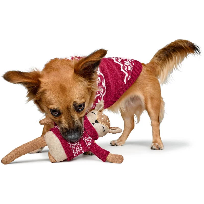 Hundespielzeug Birka