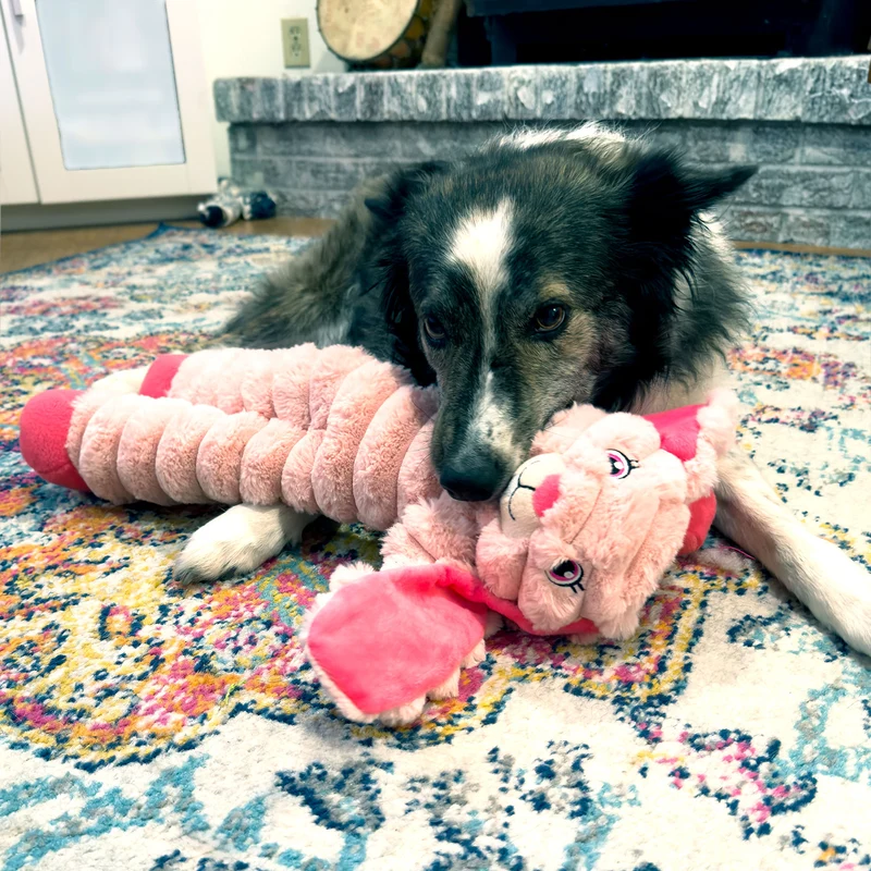 Hundespielzeug KONG® Shakers™ Crumples