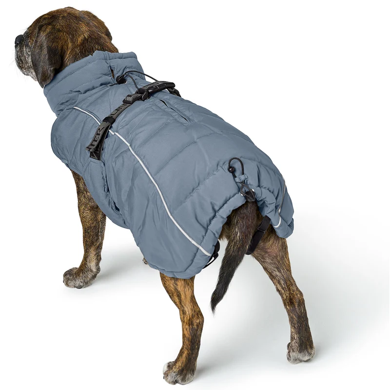 Hundemantel Paxson Mops & Co.