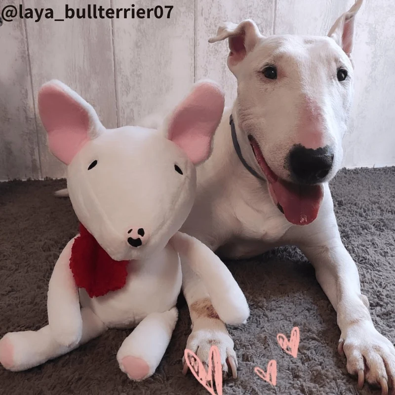 Bull Terrier Plush Toy
