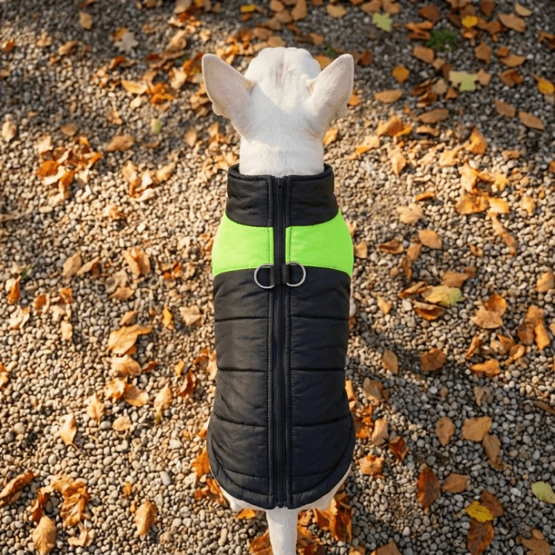 Warm Waterproof Dog Vest