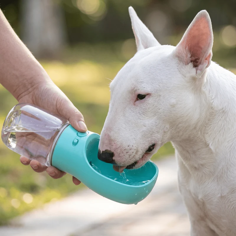Portable Dog Water Bottle