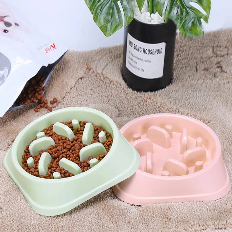 Slow Feeder Bowl