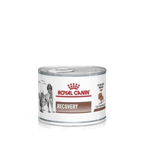 Royal Canin Dog/Cat Recovery Lattina 195 Gr