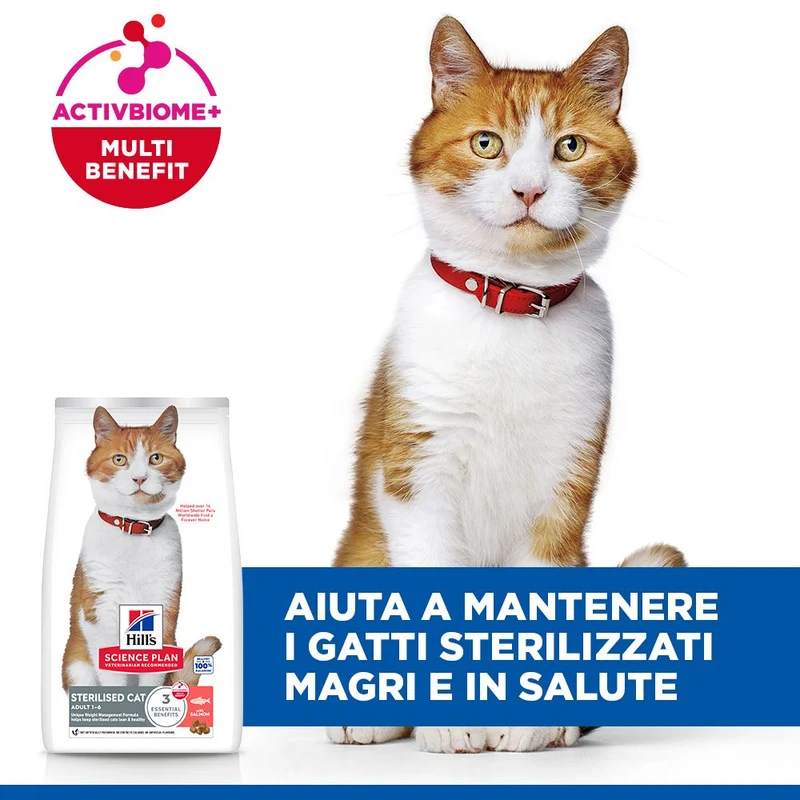 Hill's Science Plan Sterilised Cat Adult Alimento per gatti secco con salmone 10 kg Crocchette