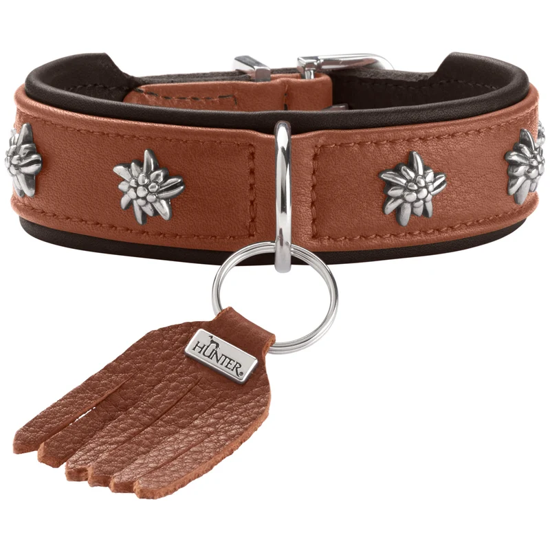Halsband München