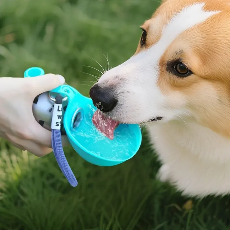 Bottiglia Acqua per Cani - Pronta per l'Avventura!