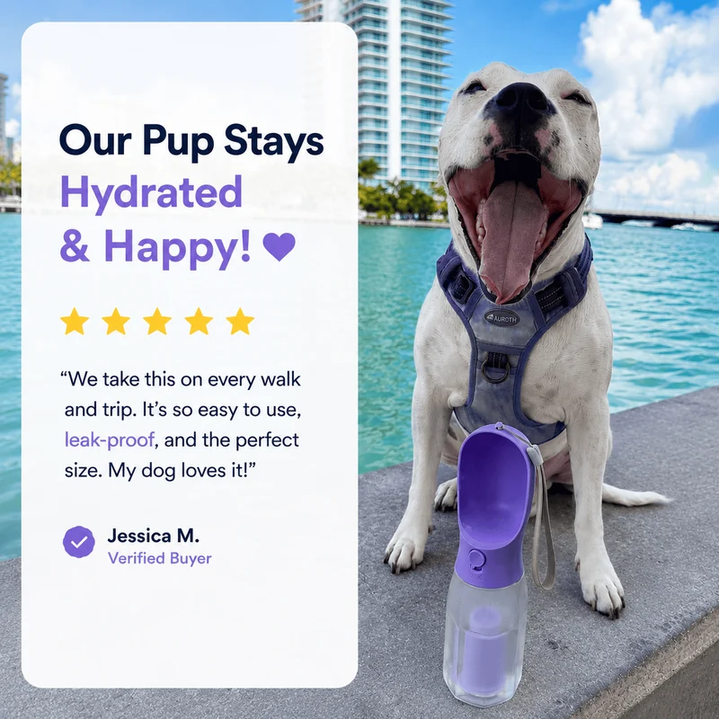 3-in-1 Portable Dog Water Bottle