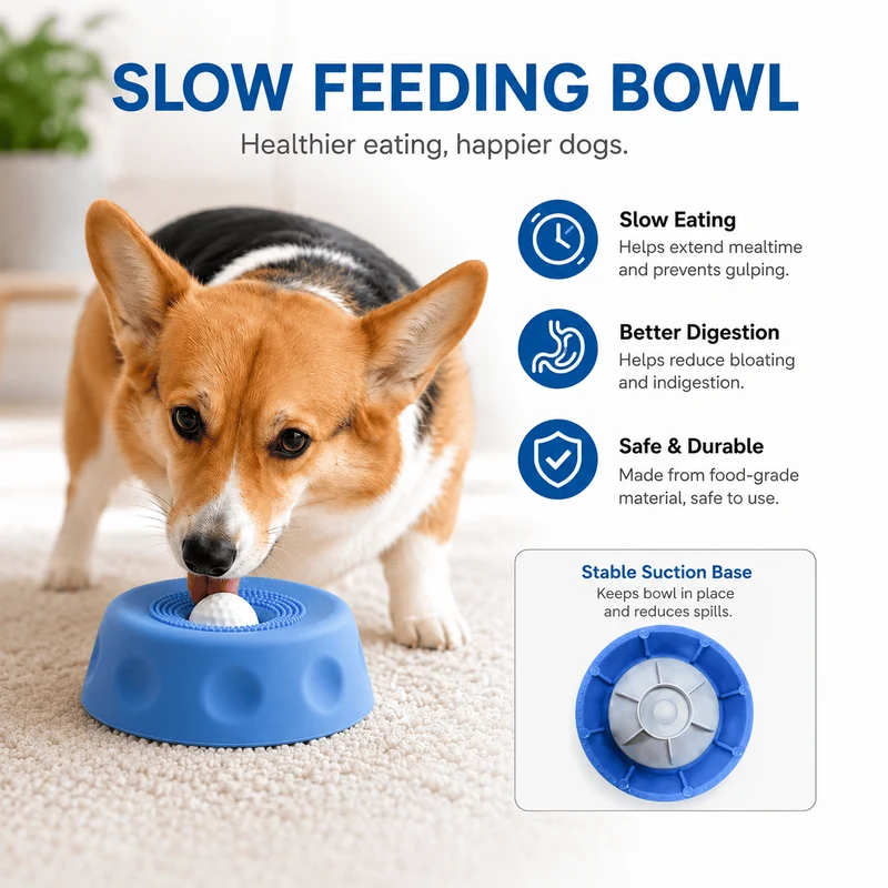 2026 Upgraded Lick & Roll Slow Feeder Bowl