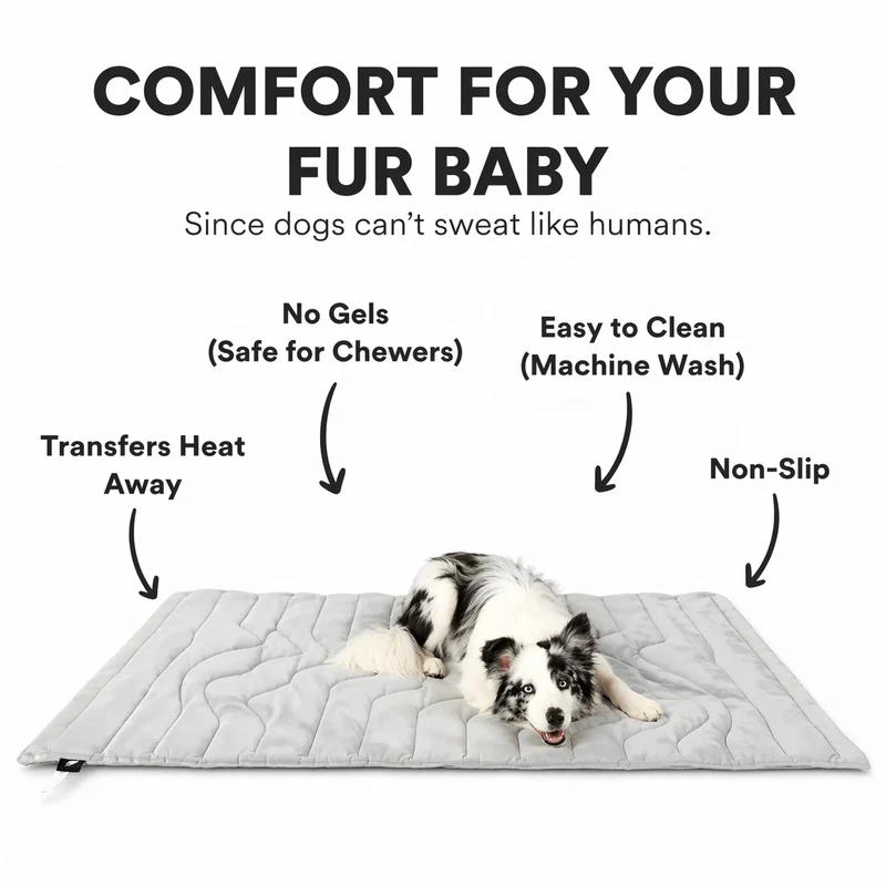 Dual-Side Cooling Dog Mat