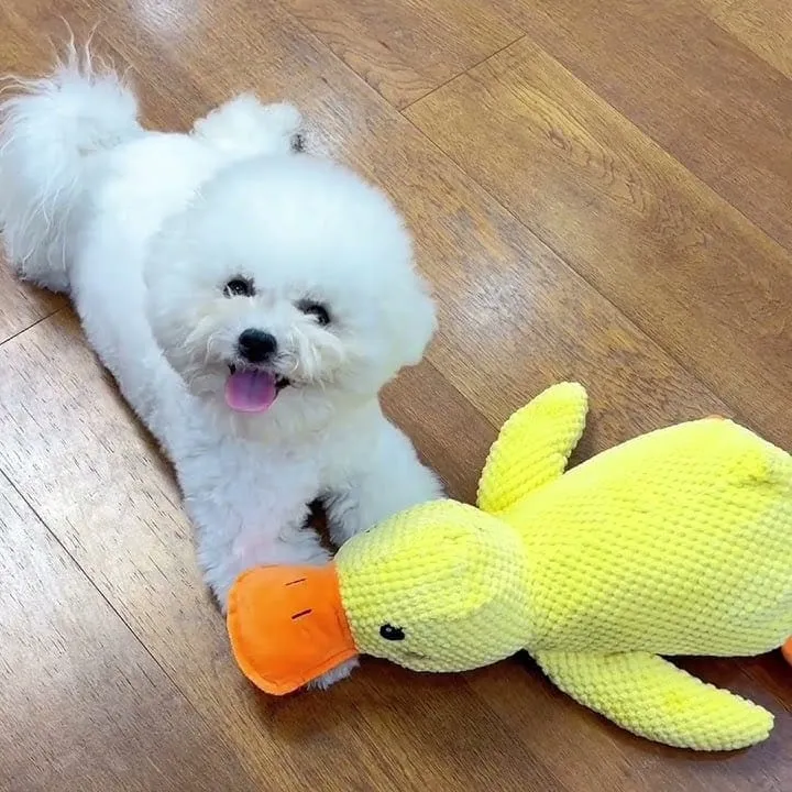 Low-Quack Duck Toy