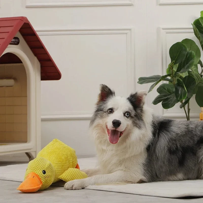 Low-Quack Duck Toy