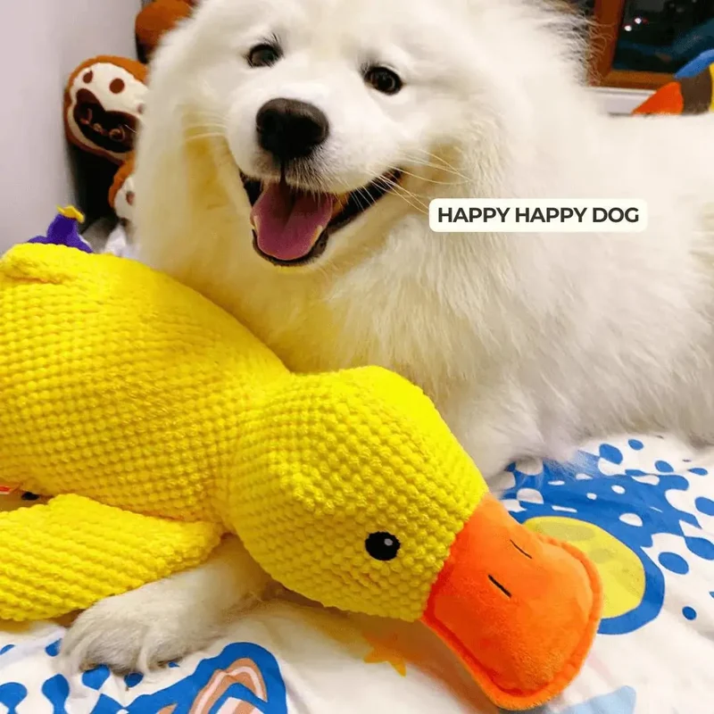 Squeaky Low-Quack Duck Toy