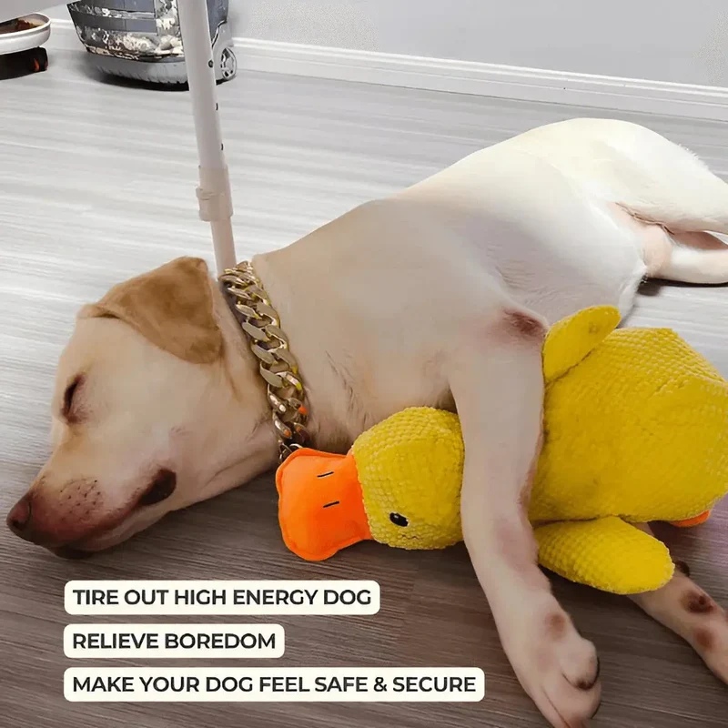 Squeaky Low-Quack Duck Toy