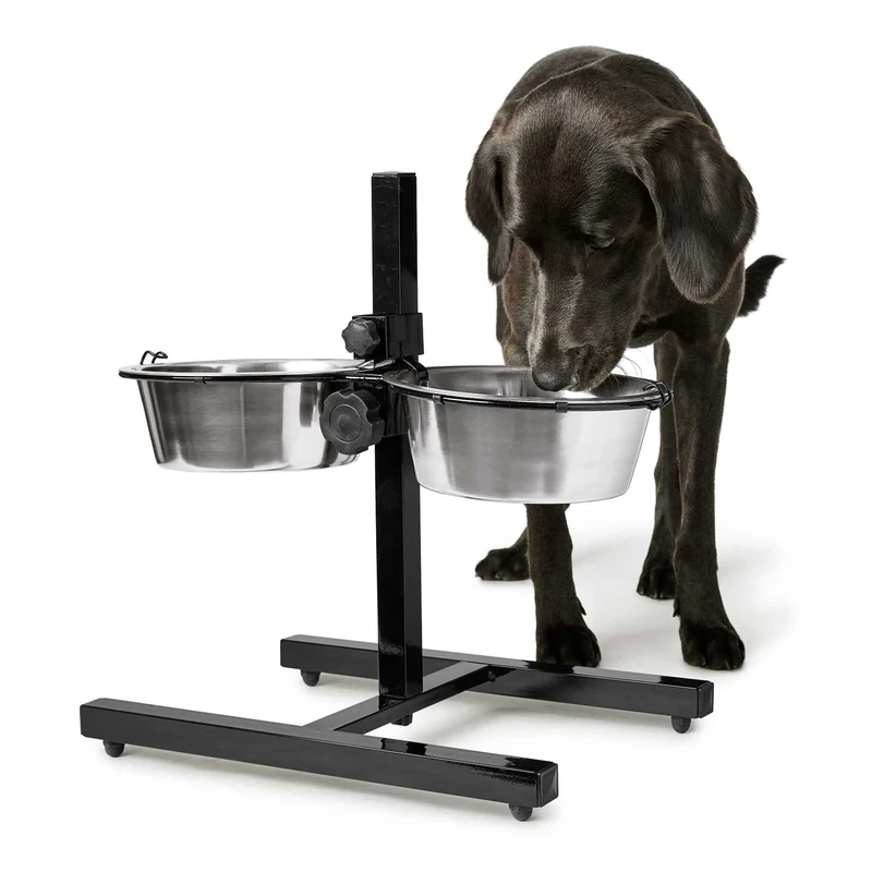 Hundebar Basic