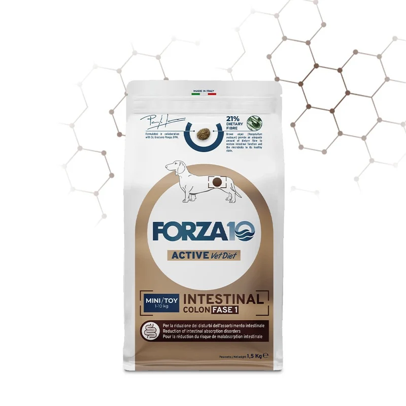 Forza 10 Intestinal Colon Fase I Mini/Toy