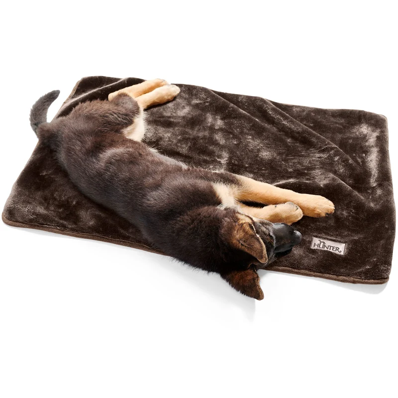 Hundedecke Konstanz