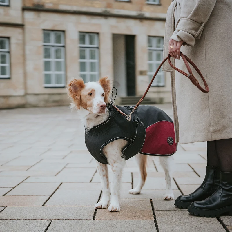 Hundemantel Uppsala Cozy