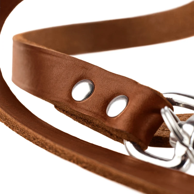 Verstellbare Führleine