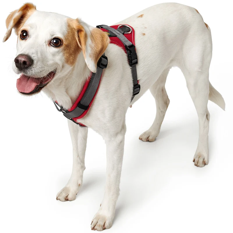 Geschirr Maldon