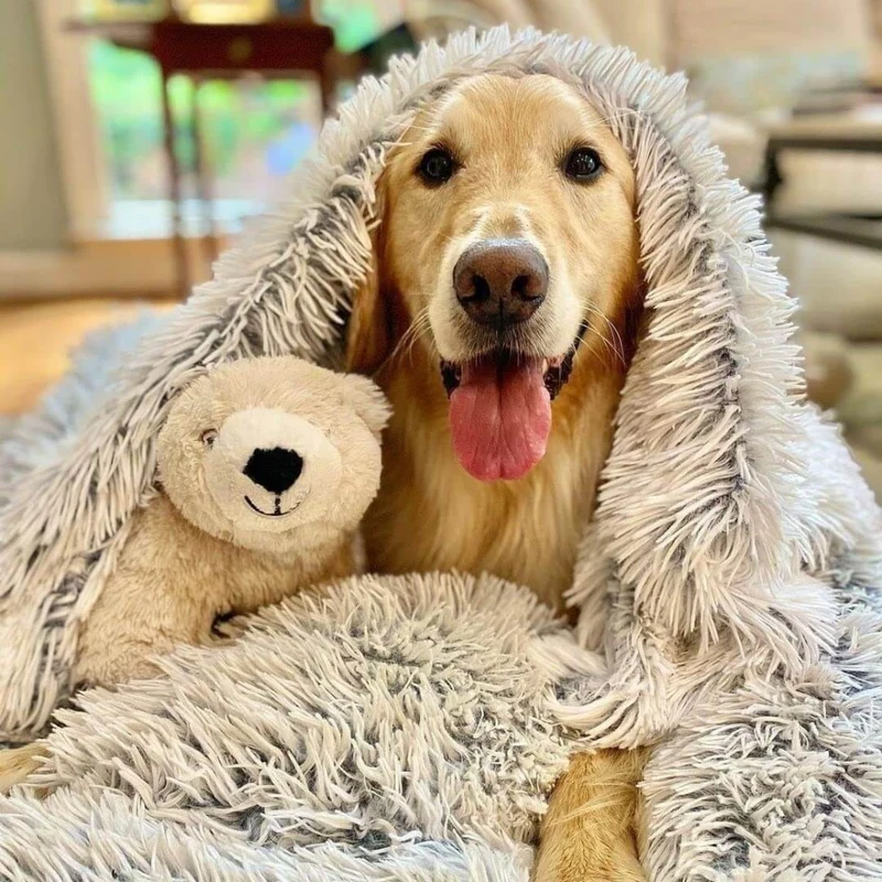 Anxiety Relieving Fluffy Soft Pet Blanket Cozy Design