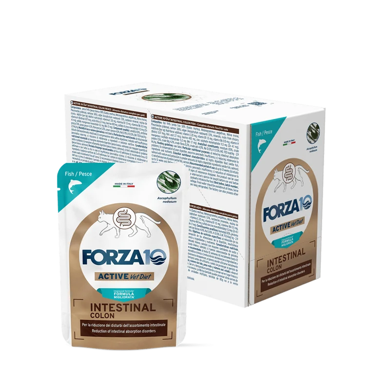 Forza 10 Gatto Intestinal Colon - Pesce