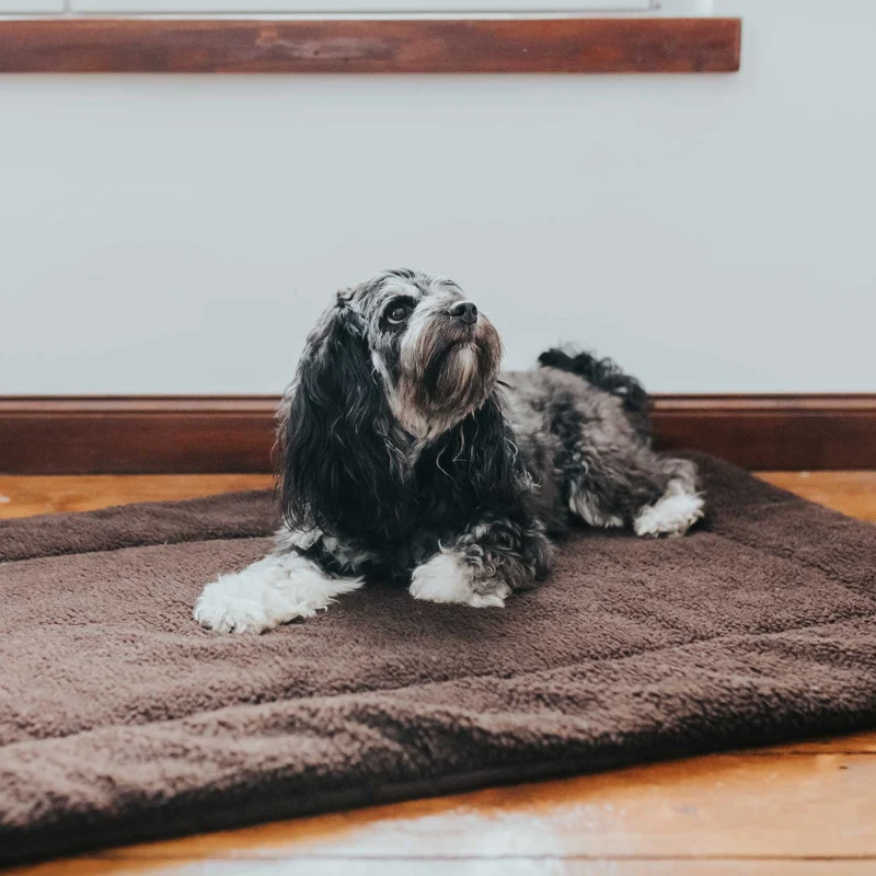 Hundematte Fully