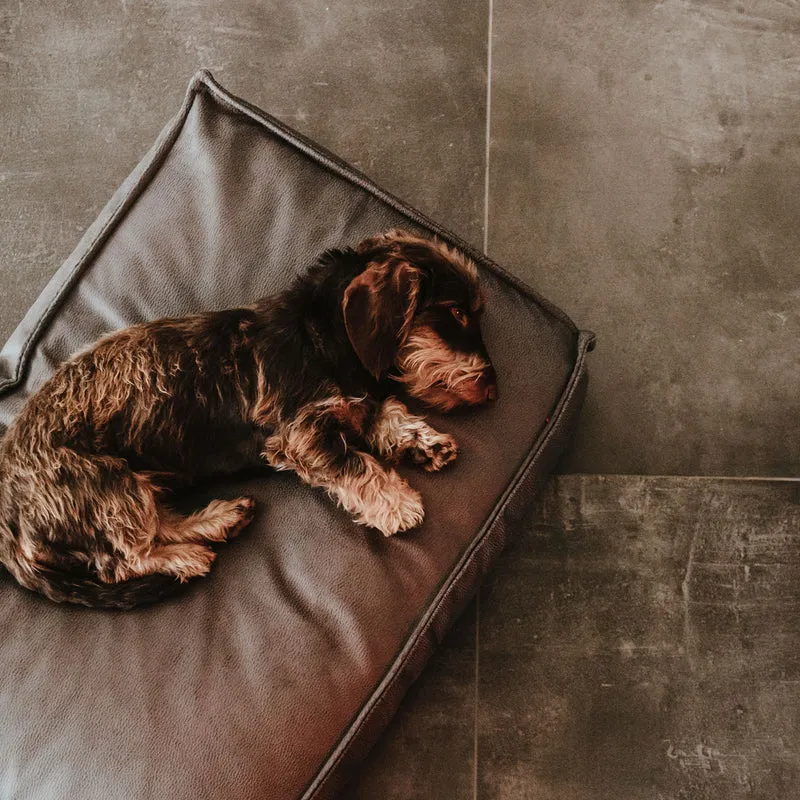 Orthopädisches/Ergonomisches Hundekissen Merida