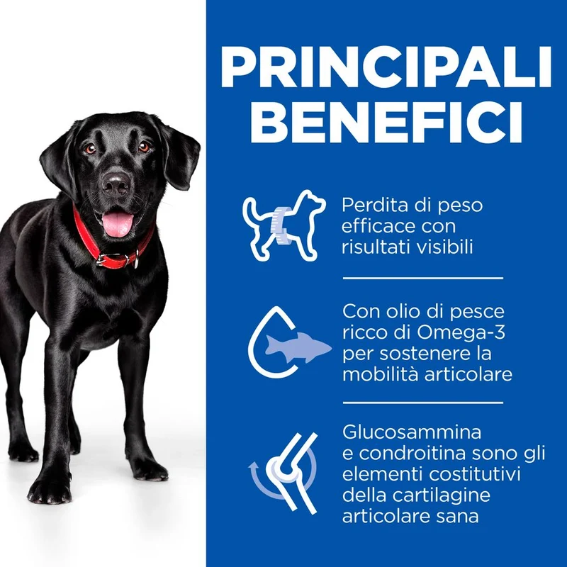 Hill's Science Plan PERFECT WEIGHT & ACTIVE MOBILITY LARGE BREED ADULT ALIMENTO PER CANI con POLLO