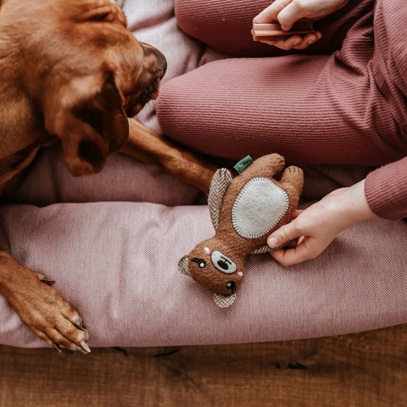 Hundespielzeug Fyn
