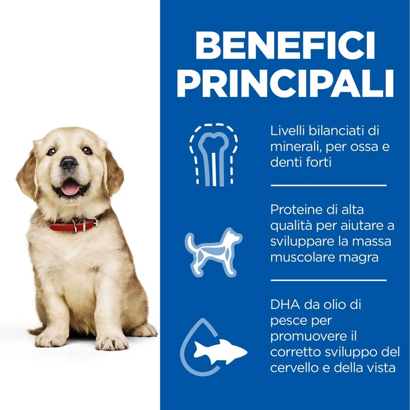Hill's Science Plan LARGE BREED PUPPY ALIMENTO con POLLO