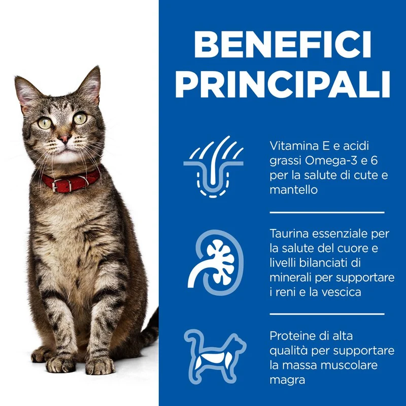 Hill's Science Plan Adult Alimento per Gatti al Pollo